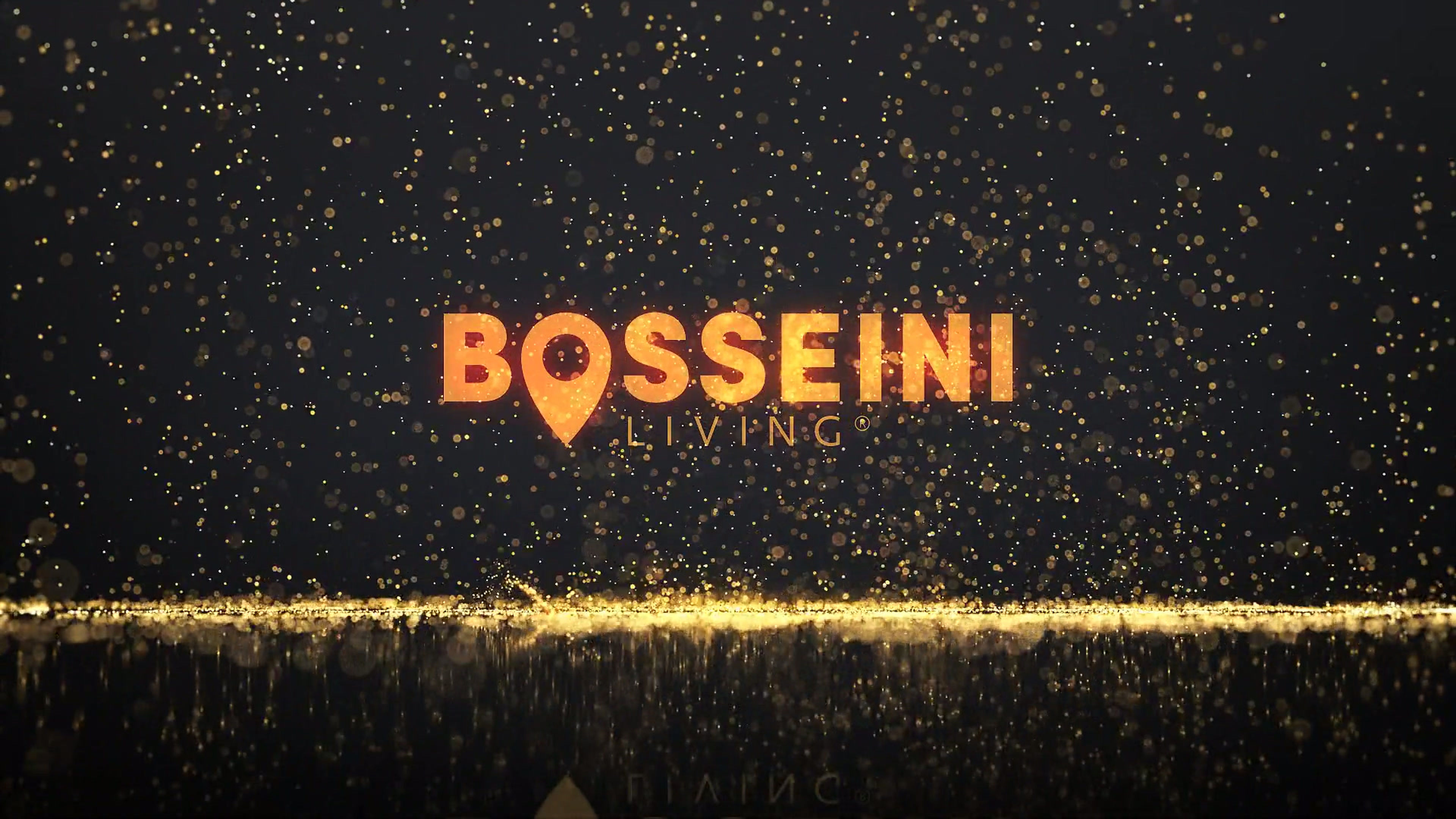Bosseini Logo Motion, 01